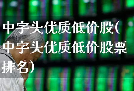 中字头优质低价股(中字头优质低价股票排名)_https://www.fzdzcxj.com_上交所_第1张