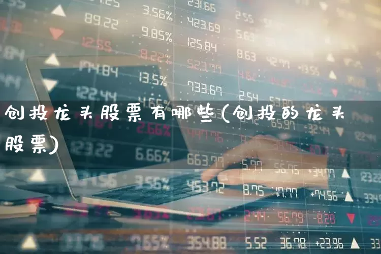 创投龙头股票有哪些(创投的龙头股票)_https://www.fzdzcxj.com_科创板_第1张