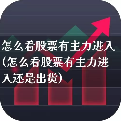 怎么看股票有主力进入(怎么看股票有主力进入还是出货)_https://www.fzdzcxj.com_创业板_第1张