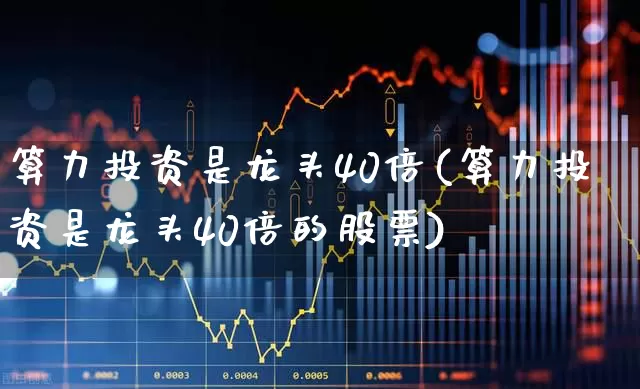 算力投资是龙头40倍(算力投资是龙头40倍的股票)_https://www.fzdzcxj.com_深交所_第1张