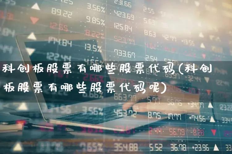科创板股票有哪些股票代码(科创板股票有哪些股票代码呢)_https://www.fzdzcxj.com_创业板_第1张