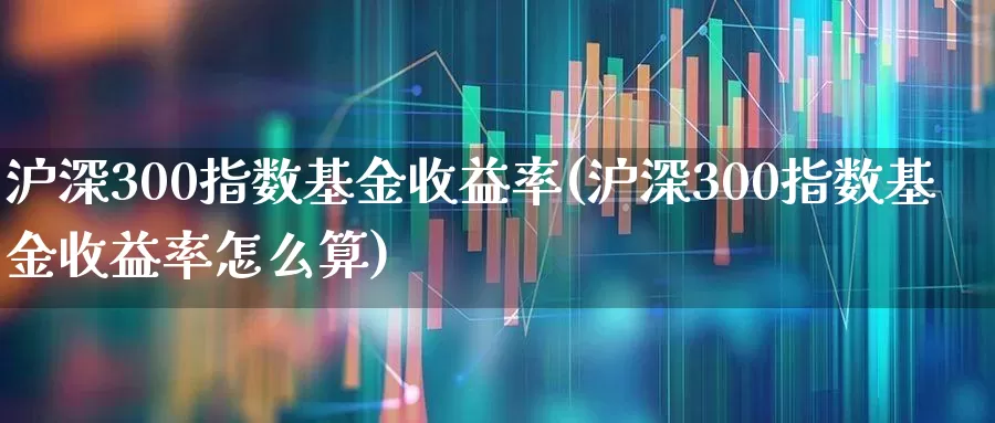 沪深300指数基金收益率(沪深300指数基金收益率怎么算)_https://www.fzdzcxj.com_上交所_第1张