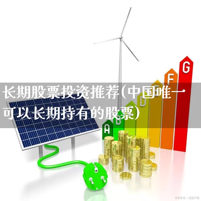 长期股票投资推荐(中国唯一可以长期持有的股票)_https://www.fzdzcxj.com_创业板_第1张