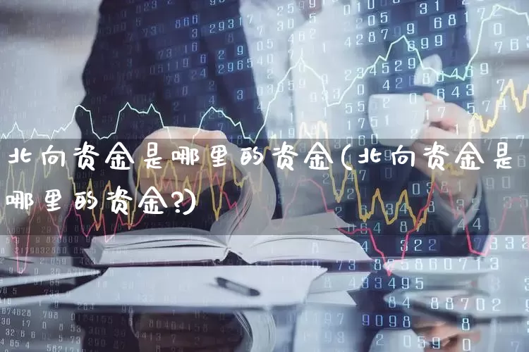 北向资金是哪里的资金(北向资金是哪里的资金?)_https://www.fzdzcxj.com_创业板_第1张