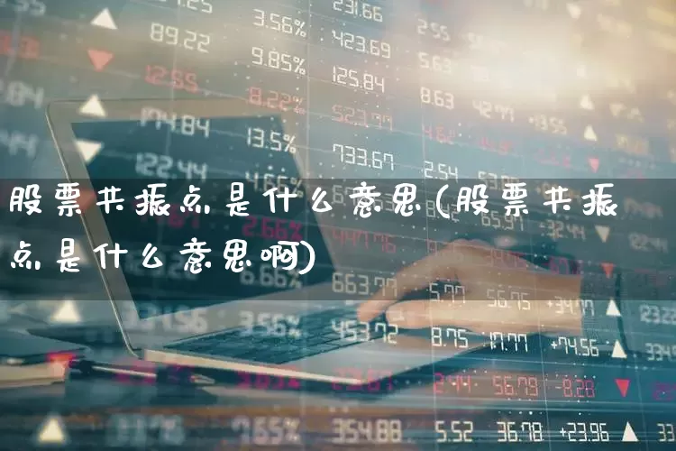 股票共振点是什么意思(股票共振点是什么意思啊)_https://www.fzdzcxj.com_北交所_第1张