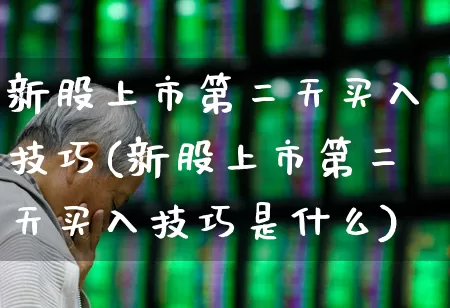 新股上市第二天买入技巧(新股上市第二天买入技巧是什么)_https://www.fzdzcxj.com_上交所_第1张