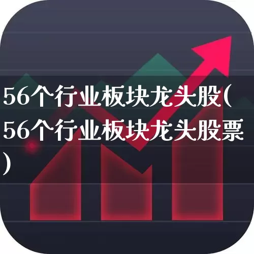 56个行业板块龙头股(56个行业板块龙头股票)_https://www.fzdzcxj.com_深交所_第1张