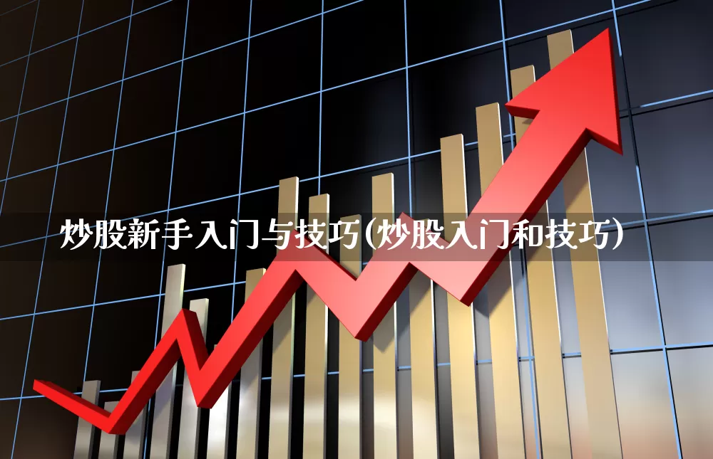 炒股新手入门与技巧(炒股入门和技巧)_https://www.fzdzcxj.com_创业板_第1张