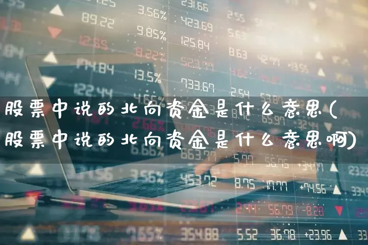 股票中说的北向资金是什么意思(股票中说的北向资金是什么意思啊)_https://www.fzdzcxj.com_科创板_第1张