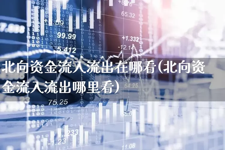 北向资金流入流出在哪看(北向资金流入流出哪里看)_https://www.fzdzcxj.com_上交所_第1张