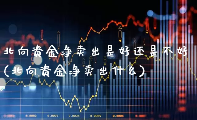 北向资金净卖出是好还是不好(北向资金净卖出什么)_https://www.fzdzcxj.com_深交所_第1张