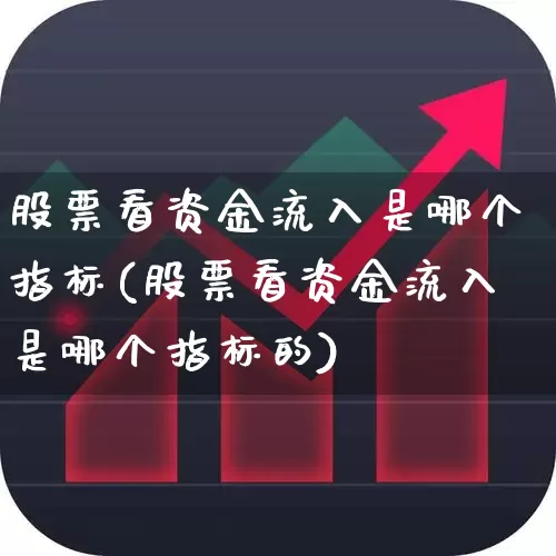 股票看资金流入是哪个指标(股票看资金流入是哪个指标的)_https://www.fzdzcxj.com_科创板_第1张