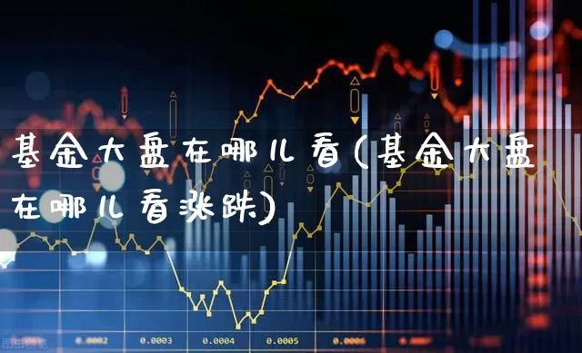 基金大盘在哪儿看(基金大盘在哪儿看涨跌)_https://www.fzdzcxj.com_上交所_第1张