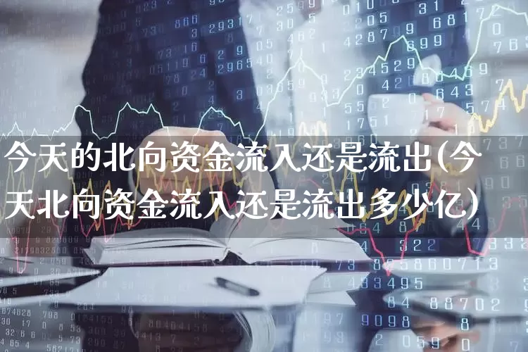 今天的北向资金流入还是流出(今天北向资金流入还是流出多少亿)_https://www.fzdzcxj.com_深交所_第1张