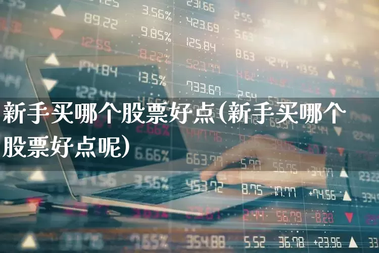 新手买哪个股票好点(新手买哪个股票好点呢)_https://www.fzdzcxj.com_上交所_第1张