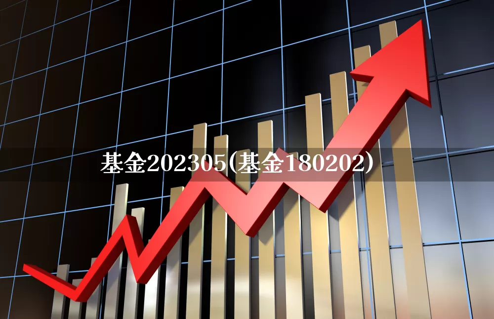 基金202305(基金180202)_https://www.fzdzcxj.com_北交所_第1张