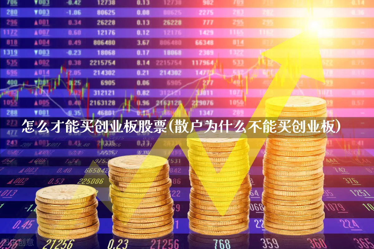 怎么才能买创业板股票(散户为什么不能买创业板)_https://www.fzdzcxj.com_创业板_第1张