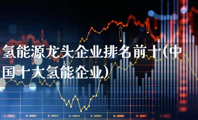 氢能源龙头企业排名前十(中国十大氢能企业)_https://www.fzdzcxj.com_北交所_第1张