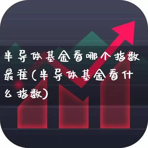 半导体基金看哪个指数最准(半导体基金看什么指数)_https://www.fzdzcxj.com_上交所_第1张