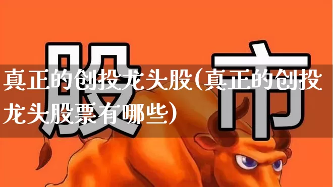 真正的创投龙头股(真正的创投龙头股票有哪些)_https://www.fzdzcxj.com_深交所_第1张