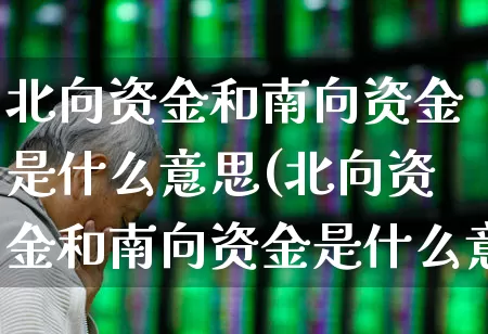 北向资金和南向资金是什么意思(北向资金和南向资金是什么意思啊)_https://www.fzdzcxj.com_上交所_第1张