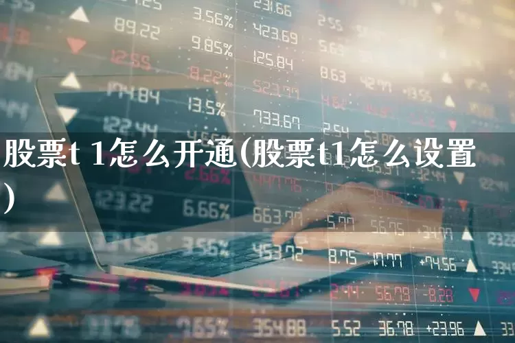 股票t 1怎么开通(股票t1怎么设置)_https://www.fzdzcxj.com_深交所_第1张