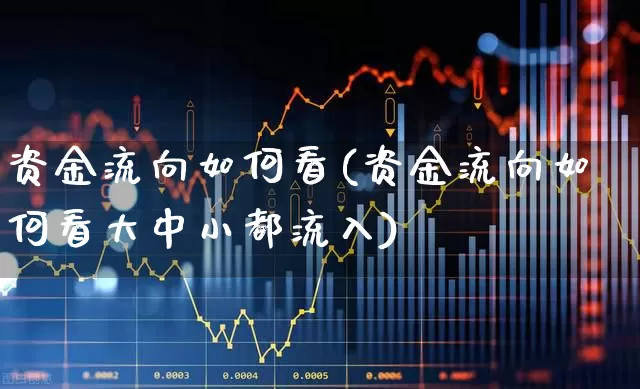 资金流向如何看(资金流向如何看大中小都流入)_https://www.fzdzcxj.com_北交所_第1张