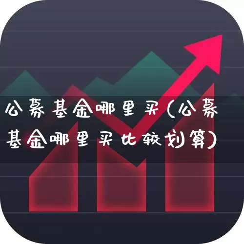 公募基金哪里买(公募基金哪里买比较划算)_https://www.fzdzcxj.com_创业板_第1张