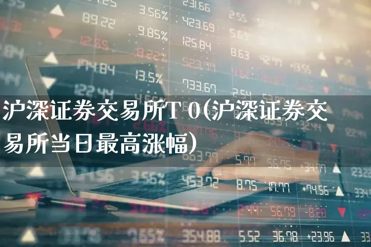 沪深证券交易所T 0(沪深证券交易所当日最高涨幅)_https://www.fzdzcxj.com_科创板_第1张