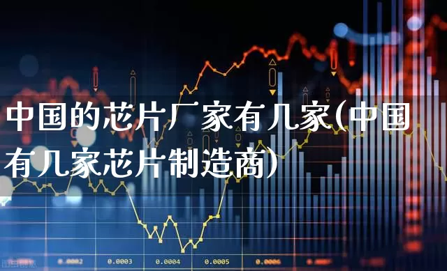 中国的芯片厂家有几家(中国有几家芯片制造商)_https://www.fzdzcxj.com_科创板_第1张