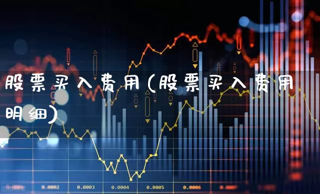 股票买入费用(股票买入费用明细)_https://www.fzdzcxj.com_深交所_第1张
