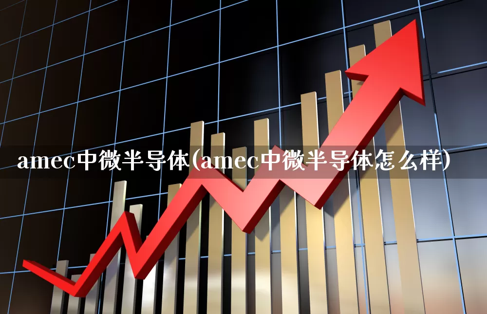 amec中微半导体(amec中微半导体怎么样)_https://www.fzdzcxj.com_科创板_第1张