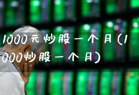 1000元炒股一个月(1000炒股一个月)_https://www.fzdzcxj.com_上交所_第1张