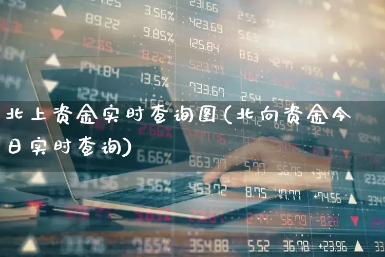 北上资金实时查询图(北向资金今日实时查询)_https://www.fzdzcxj.com_创业板_第1张