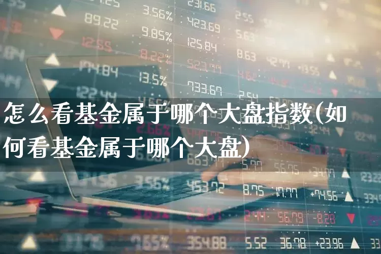 怎么看基金属于哪个大盘指数(如何看基金属于哪个大盘)_https://www.fzdzcxj.com_科创板_第1张