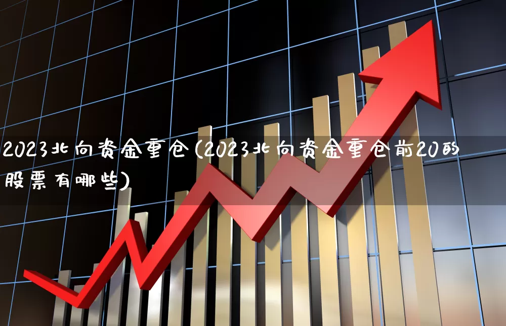 2023北向资金重仓(2023北向资金重仓前20的股票有哪些)_https://www.fzdzcxj.com_北交所_第1张