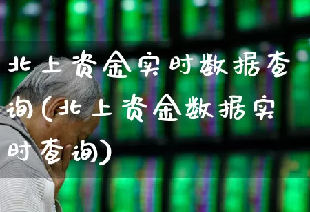 北上资金实时数据查询(北上资金数据实时查询)_https://www.fzdzcxj.com_上交所_第1张