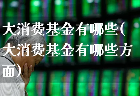 大消费基金有哪些(大消费基金有哪些方面)_https://www.fzdzcxj.com_创业板_第1张