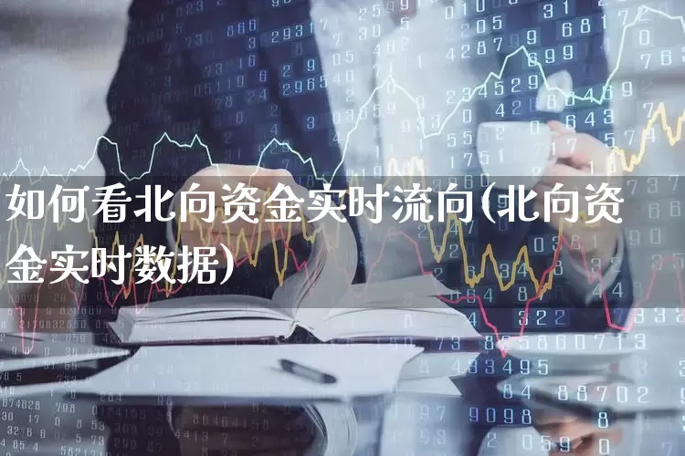 如何看北向资金实时流向(北向资金实时数据)_https://www.fzdzcxj.com_创业板_第1张