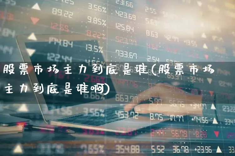 股票市场主力到底是谁(股票市场主力到底是谁啊)_https://www.fzdzcxj.com_北交所_第1张
