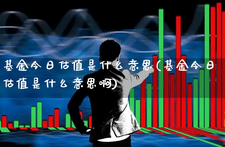 基金今日估值是什么意思(基金今日估值是什么意思啊)_https://www.fzdzcxj.com_科创板_第1张