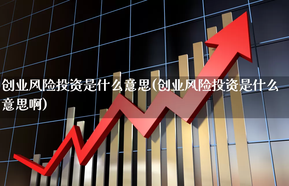 创业风险投资是什么意思(创业风险投资是什么意思啊)_https://www.fzdzcxj.com_北交所_第1张