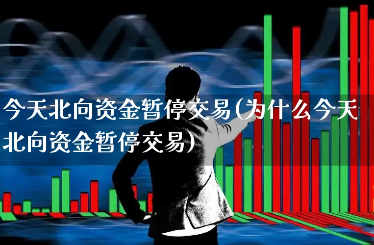 今天北向资金暂停交易(为什么今天北向资金暂停交易)_https://www.fzdzcxj.com_科创板_第1张