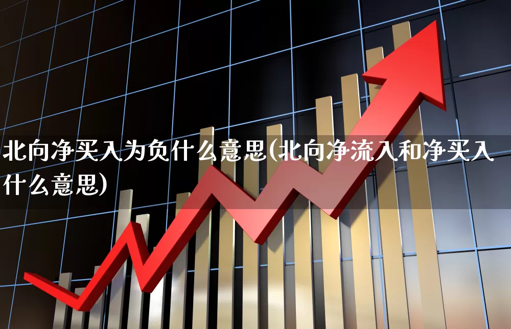北向净买入为负什么意思(北向净流入和净买入什么意思)_https://www.fzdzcxj.com_科创板_第1张