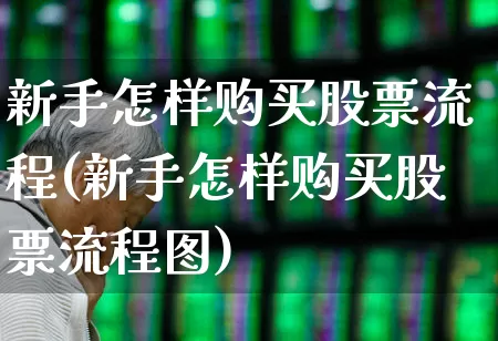 新手怎样购买股票流程(新手怎样购买股票流程图)_https://www.fzdzcxj.com_上交所_第1张