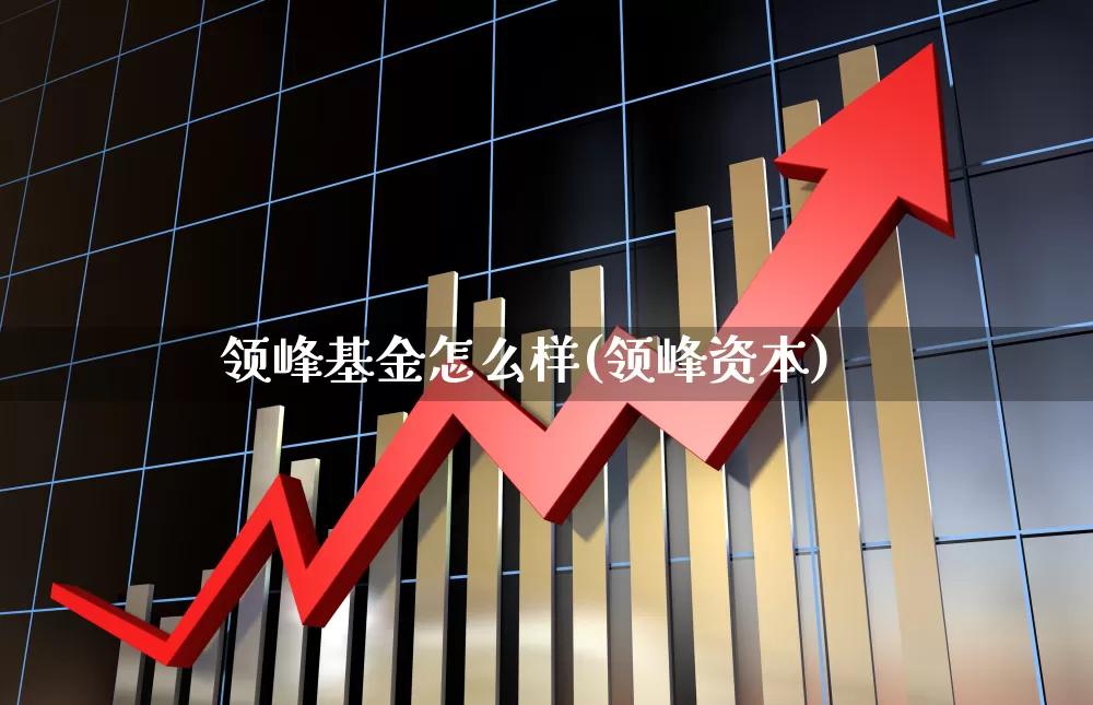 领峰基金怎么样(领峰资本)_https://www.fzdzcxj.com_深交所_第1张