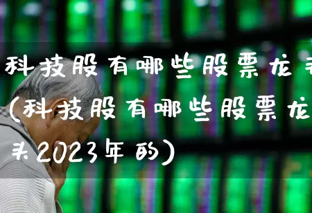 科技股有哪些股票龙头(科技股有哪些股票龙头2023年的)_https://www.fzdzcxj.com_深交所_第1张