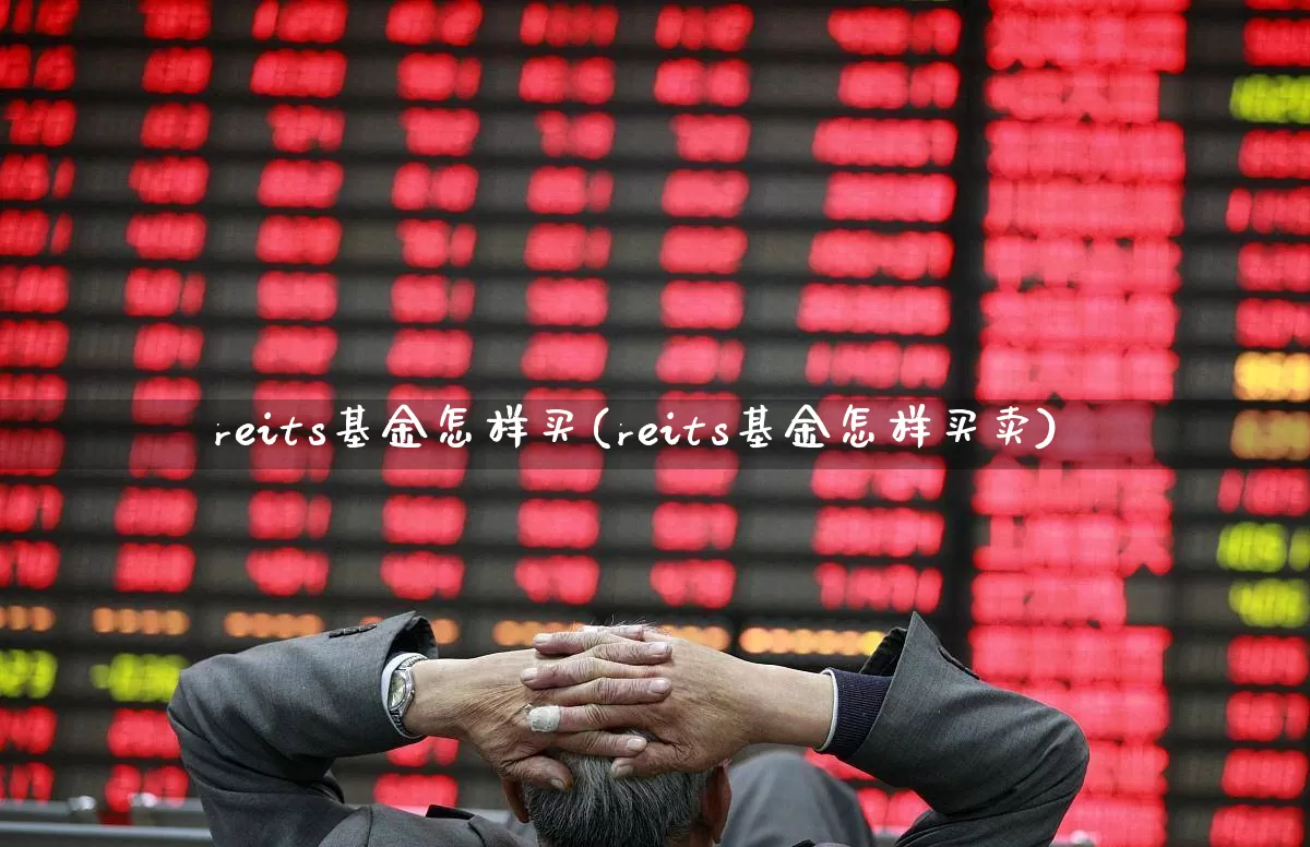 reits基金怎样买(reits基金怎样买卖)_https://www.fzdzcxj.com_科创板_第1张