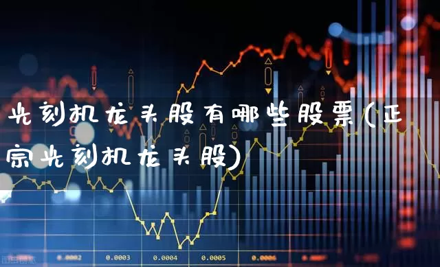 光刻机龙头股有哪些股票(正宗光刻机龙头股)_https://www.fzdzcxj.com_深交所_第1张