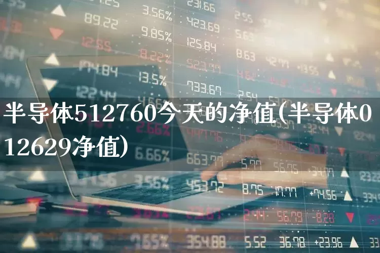 半导体512760今天的净值(半导体012629净值)_https://www.fzdzcxj.com_科创板_第1张